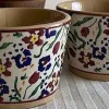 Flash Sale 2 Custard Cups Wild Flower Meadow Oven Friendly Dishes