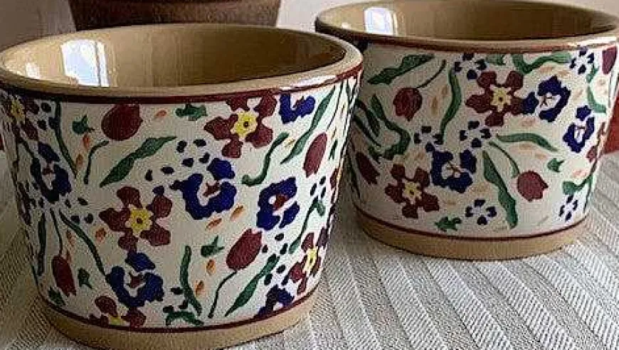 Flash Sale 2 Custard Cups Wild Flower Meadow Oven Friendly Dishes
