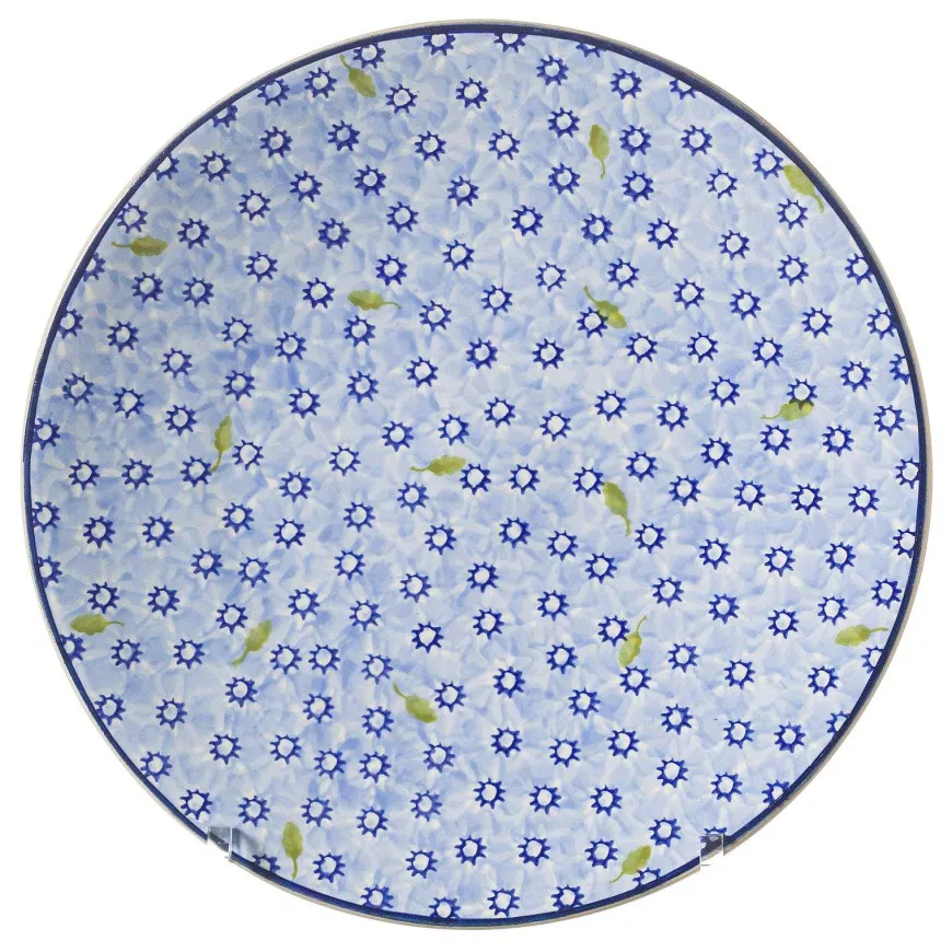 Store 2 Everyday Plates In Lawn Light Blue Plates