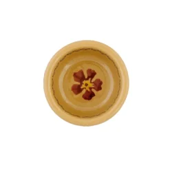 Cheap Butterpat Old Rose Serving Accessories