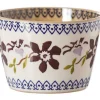 Best Sale Custard Cup Clematis Clematis