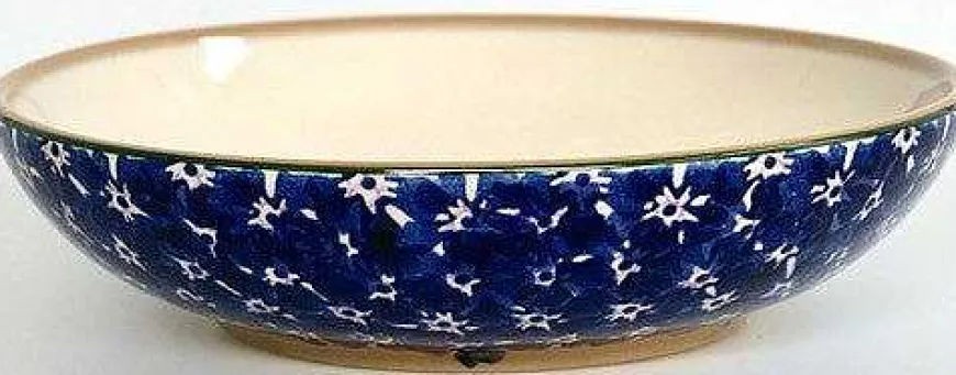 Best Everyday Bowl Lawn Dark Blue Hostess Gifts