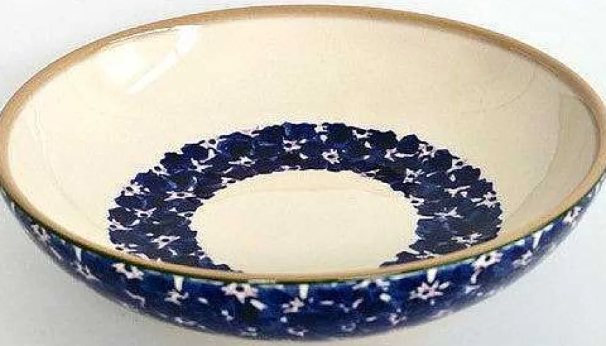 Best Everyday Bowl Lawn Dark Blue Hostess Gifts