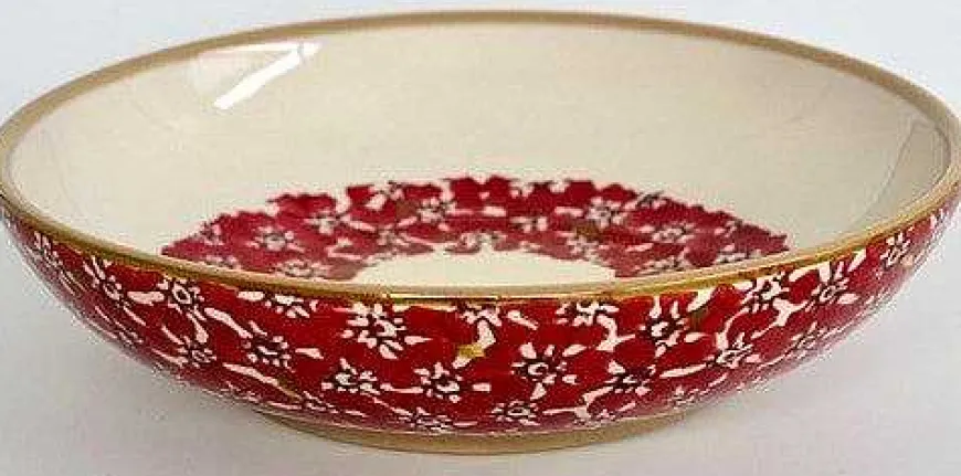 Clearance Everyday Bowl Lawn Red New In