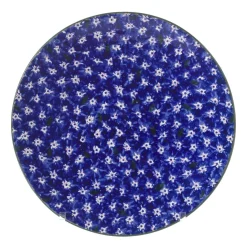 Clearance Everyday Plate Lawn Dark Blue Plates