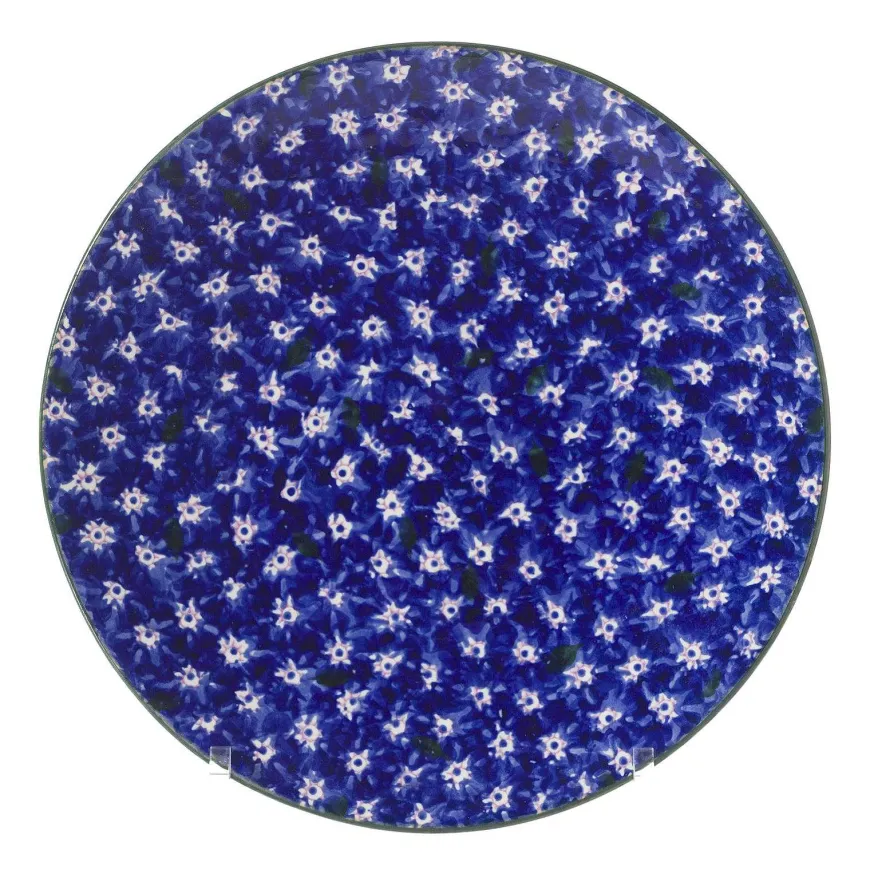 Clearance Everyday Plate Lawn Dark Blue Plates