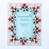 Cheap Frame Fuchsia Frames