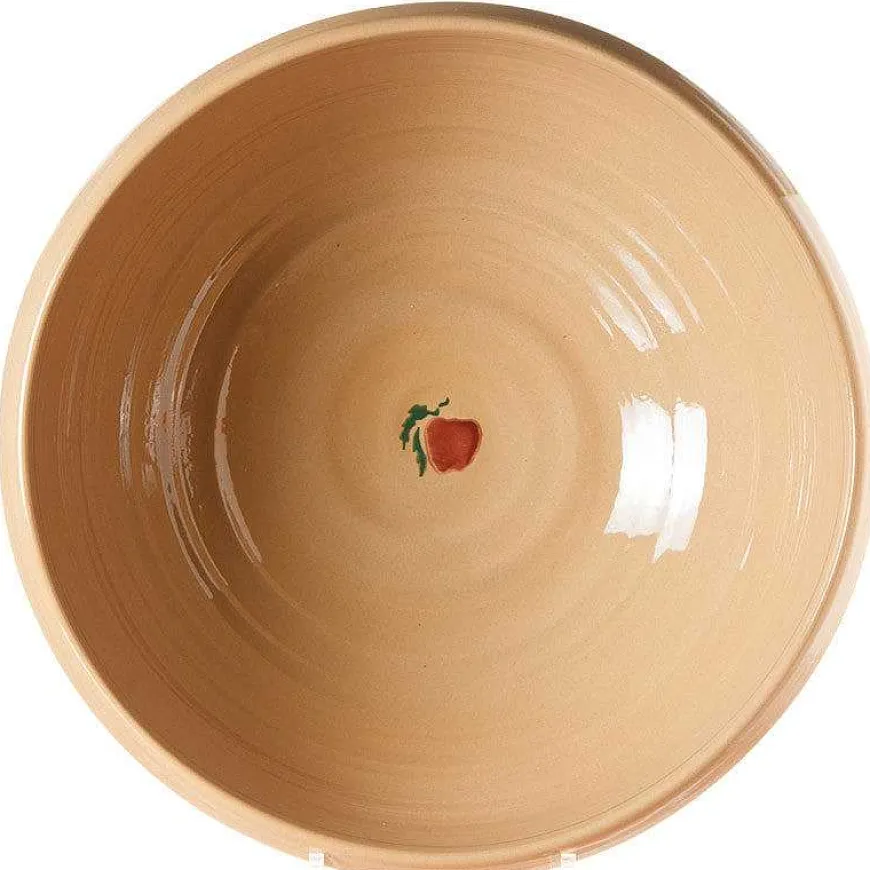 Shop Large Bowl Apple Bowls