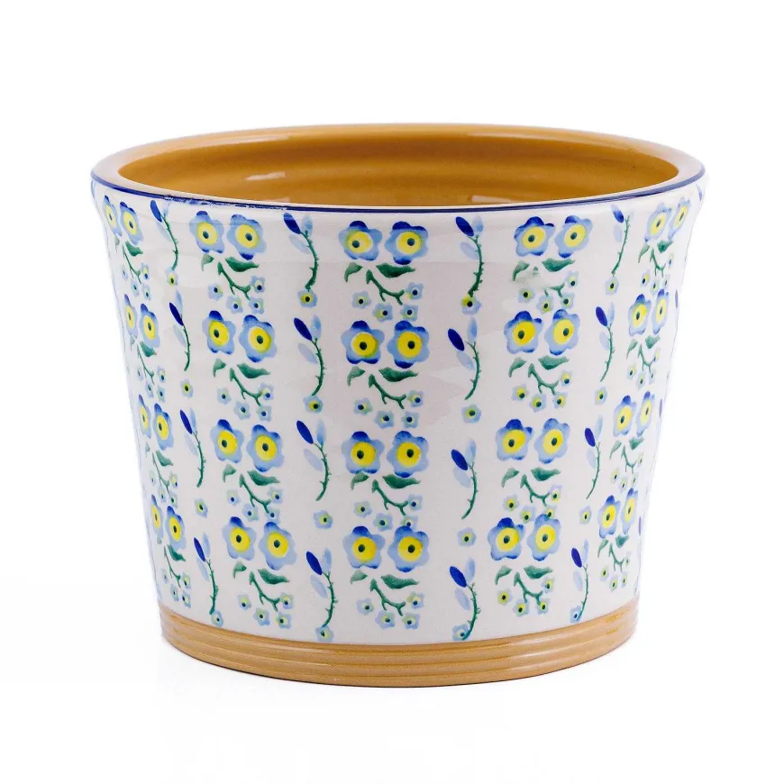 Flash Sale Large Cache Pot Indoor Forget Me Not Special Event Gifts