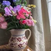 Clearance Large Jug Clematis Hostess Gifts