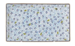 Best Medium Rectangle Dish Lawn Light Blue Plates