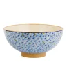 Fashion Salad Bowl Light Blue Lawn New In