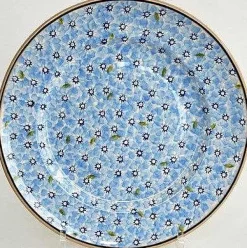 New Serving Plate Light Blue Lawn New In
