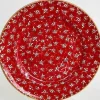 Store Serving Plate Red Lawn New In