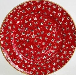 Store Serving Plate Red Lawn New In