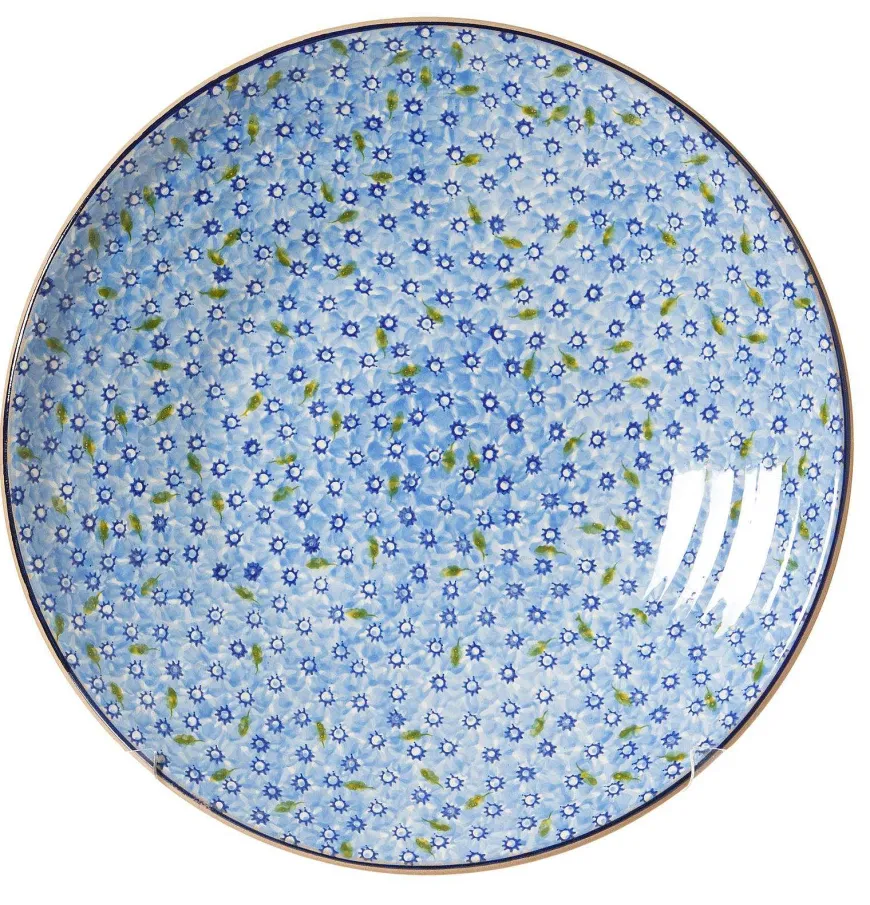Cheap Shallow Dish Lawn Light Blue Serving