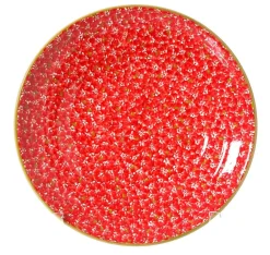 Shop Shallow Dish Lawn Red House Warming Gifts