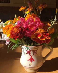 Cheap Small Jug Fuchsia Easter