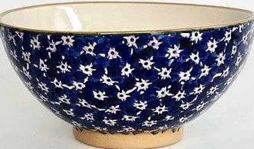 Shop Vegetable Bowl Dark Blue Lawn New In